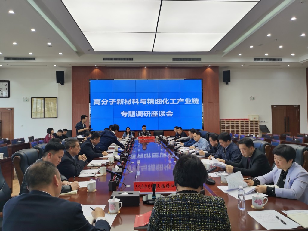 链长在行动丨阳望平调研高分子新材料与精细化工产业