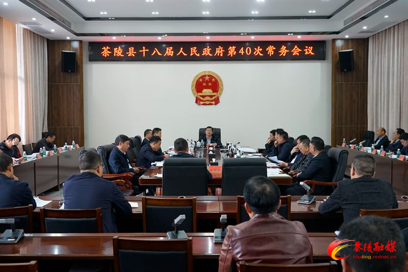 杨红兵主持召开茶陵县十八届人民政府第40次常务会议
