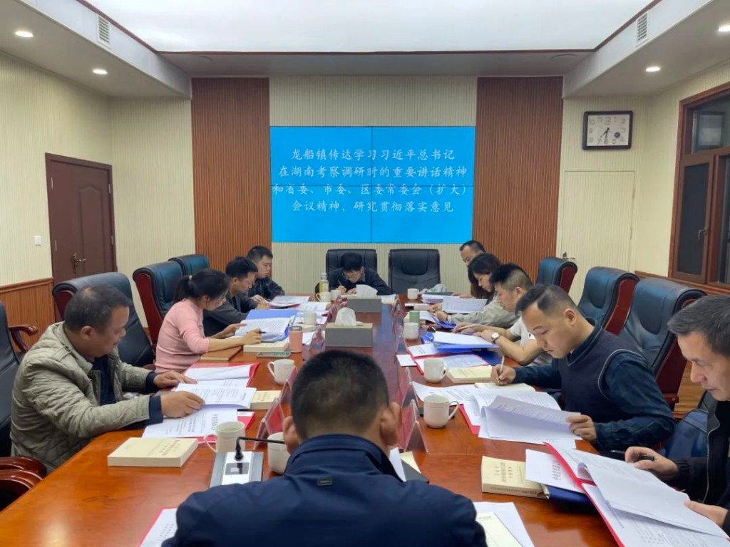 龙船镇：传达学习习近平总书记在湖南考察时的重要讲话和指示精神以及省委、市委、区委常委会（扩大）会议精神