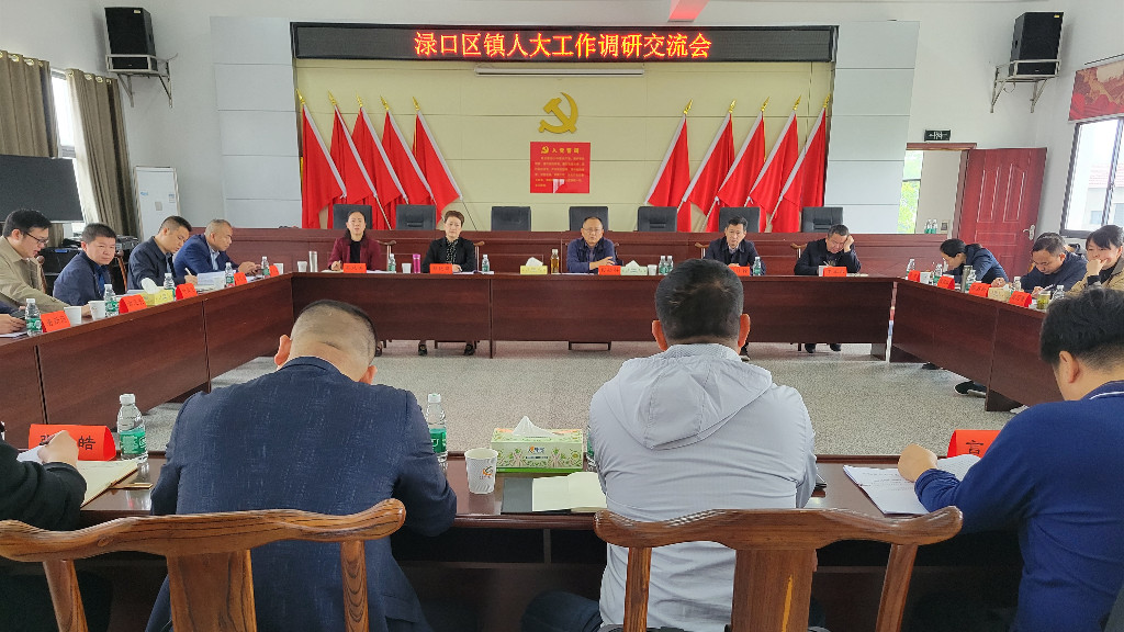 渌口区人大常委会召开镇人大工作调研交流会
