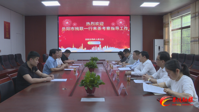 岳阳市残联来茶调研