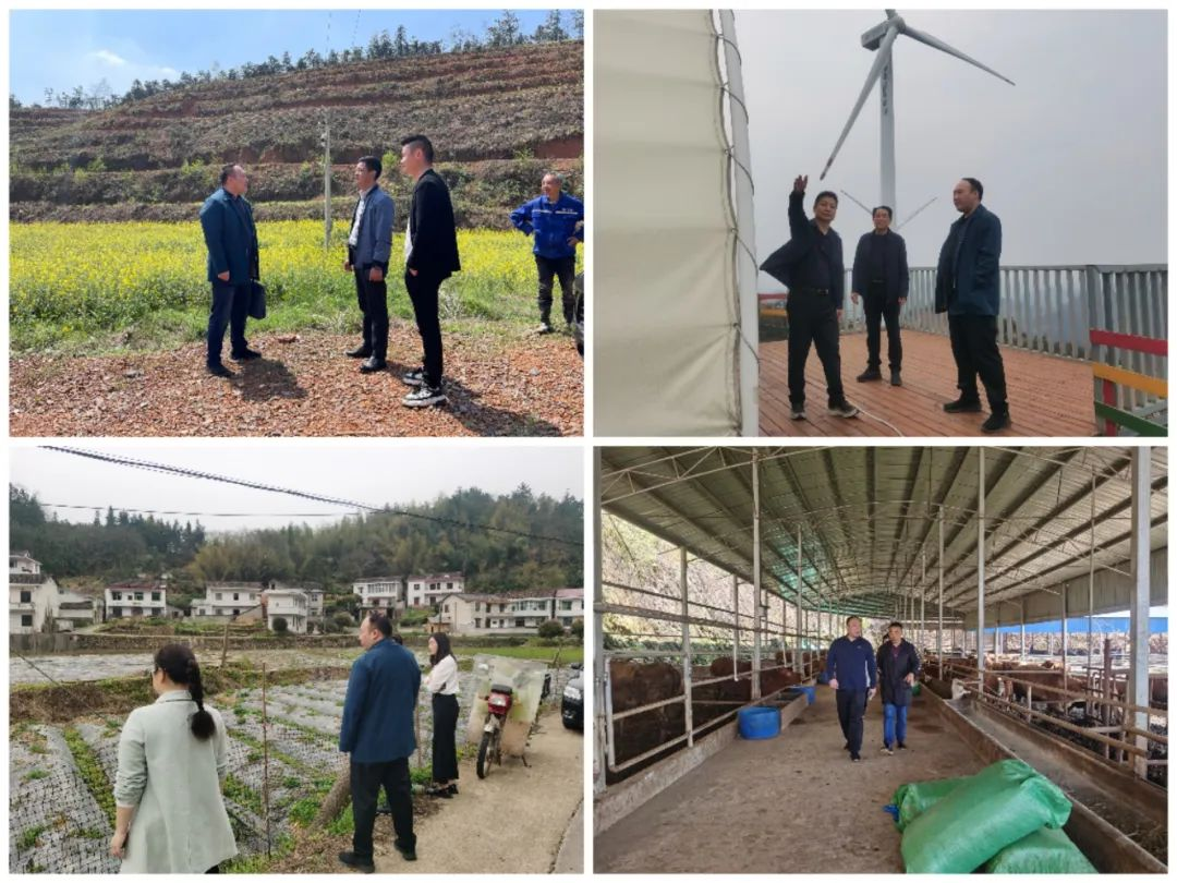 龙潭镇党委书记陈弈栋到村调研春耕生产和村集体经济发展等重点工作