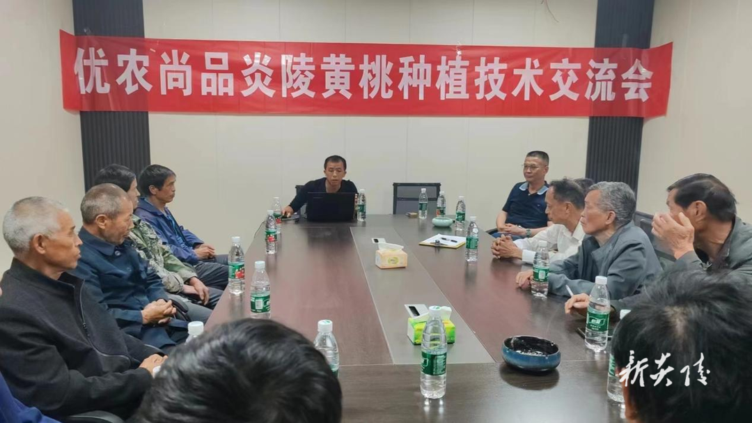 中村瑶族乡举办黄桃种植技术交流会