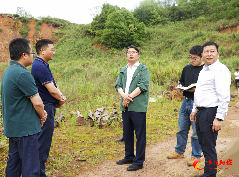 茶陵县委、县政府开展突出生态环境问题现场督查