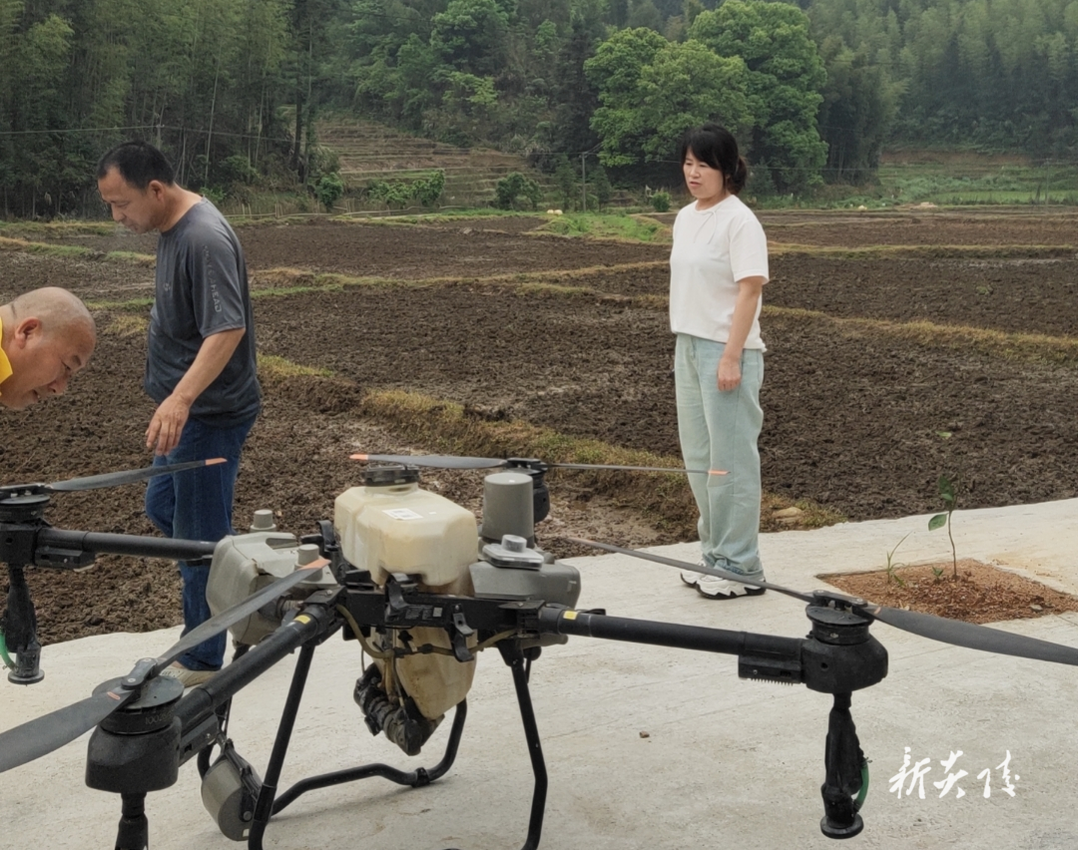 沔渡镇：深入推进耕地恢复 端牢粮食安全饭碗