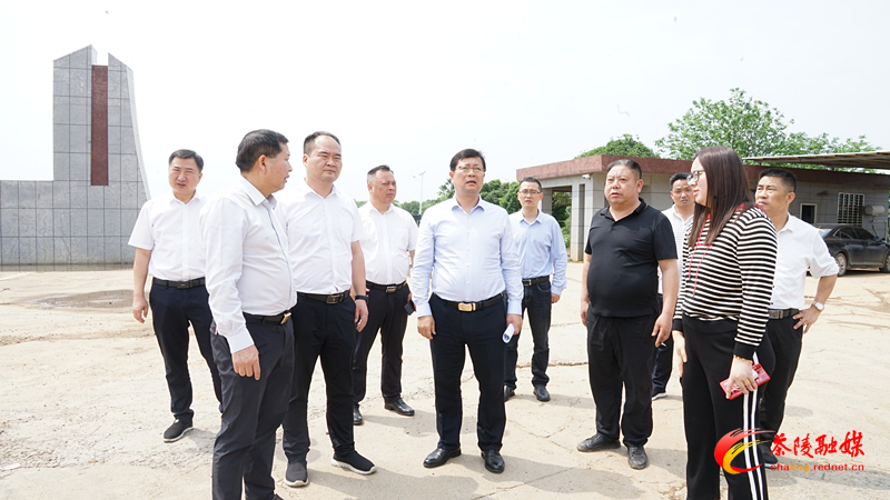茶陵县委、县政府开展突出生态环境问题现场督查