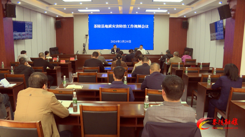 茶陵县地质灾害防治工作视频培训会召开