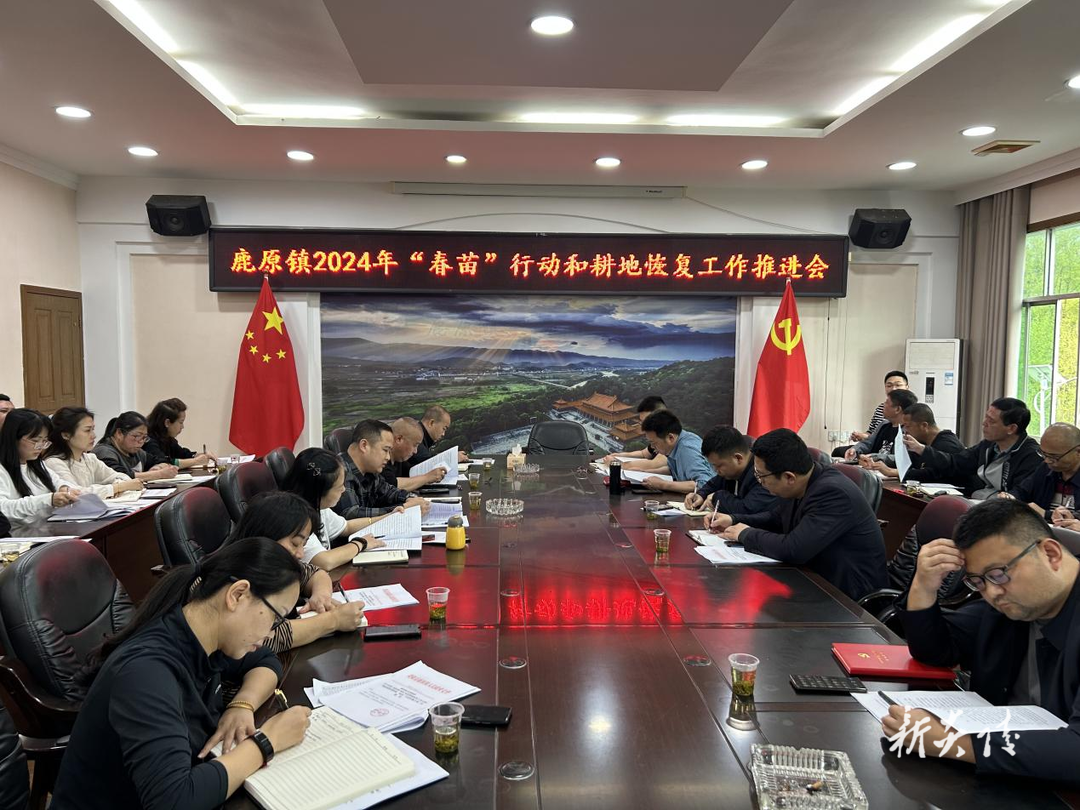鹿原镇：深入推进耕地恢复 守牢“饭碗田”