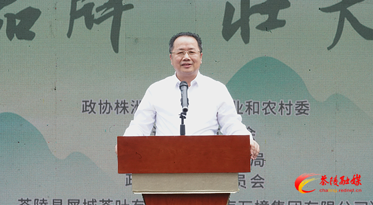 2024年株洲首场“株事好商量”集中协商活动在茶举行