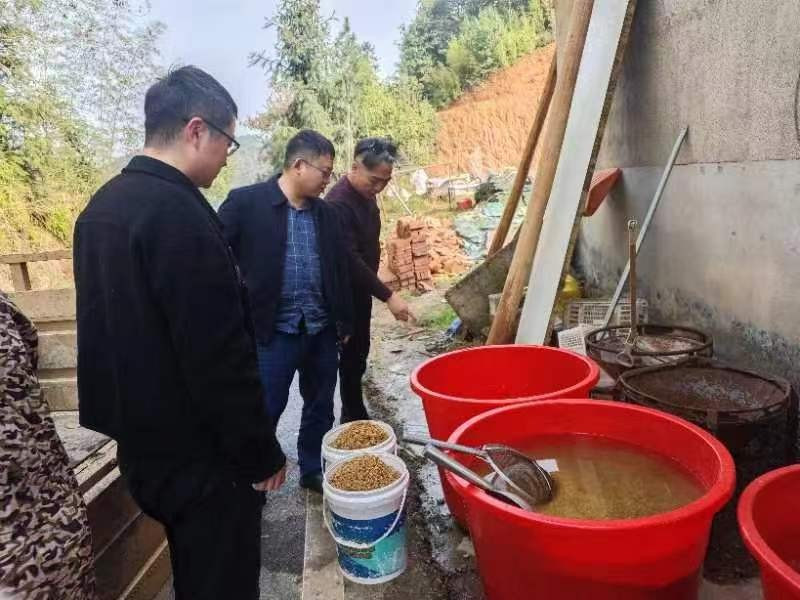 左权镇：多举措推进早稻生产  按下春耕备耕“加速键”