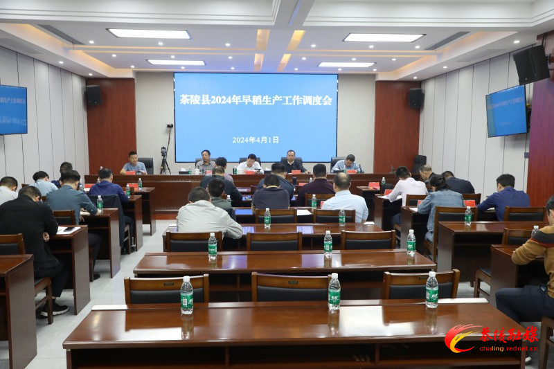 茶陵县2024年早稻生产工作调度会召开