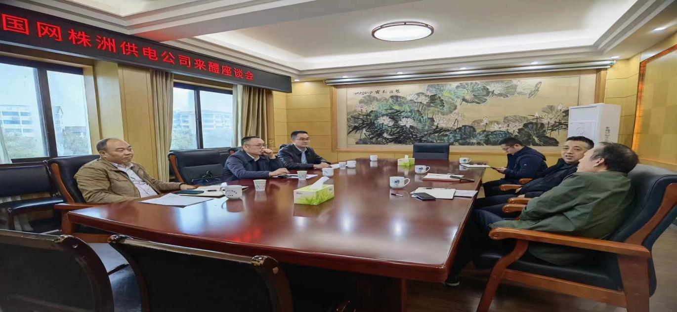 快马加鞭加速度 高位推动显成效 ——全市电网建设领域3-4月重点工作掠影