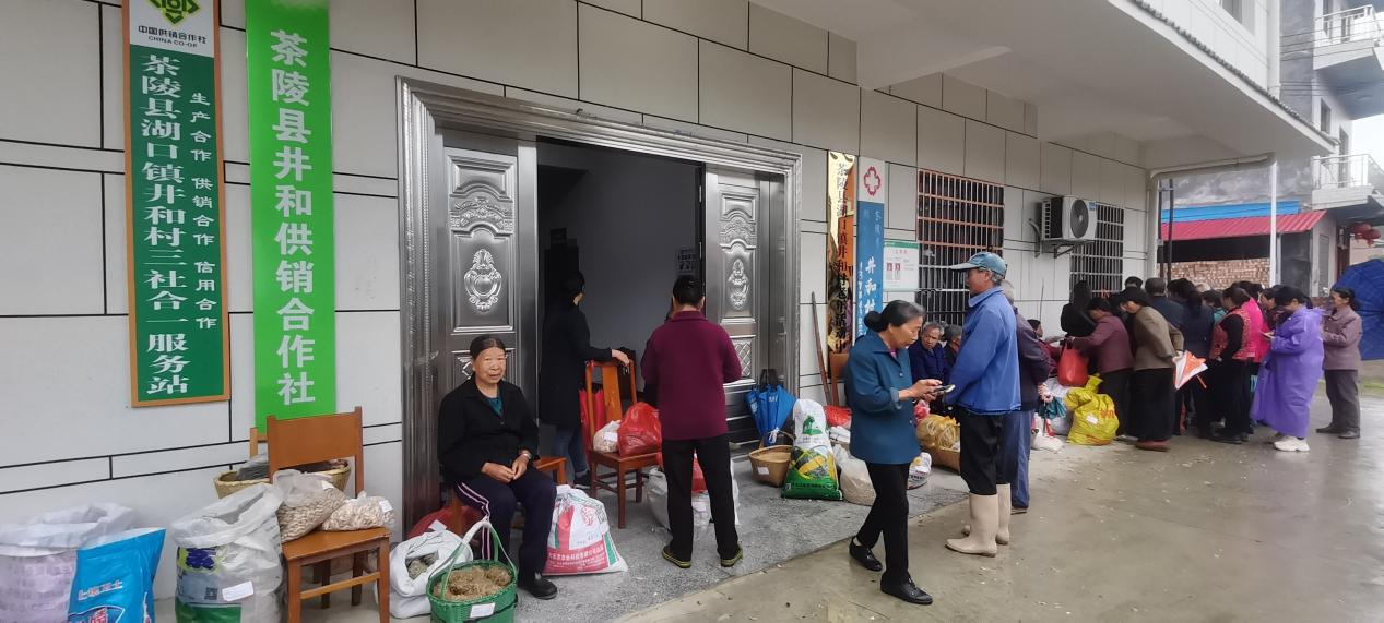 直播带货促销售，公益助农暖人心