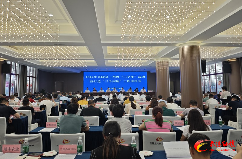 2024年茶陵县一季度“三个年”活动暨打造“三个高地”工作讲评会召开