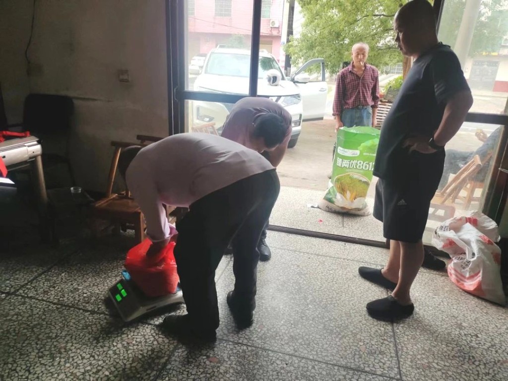 推广低镉水稻 保障粮食安全