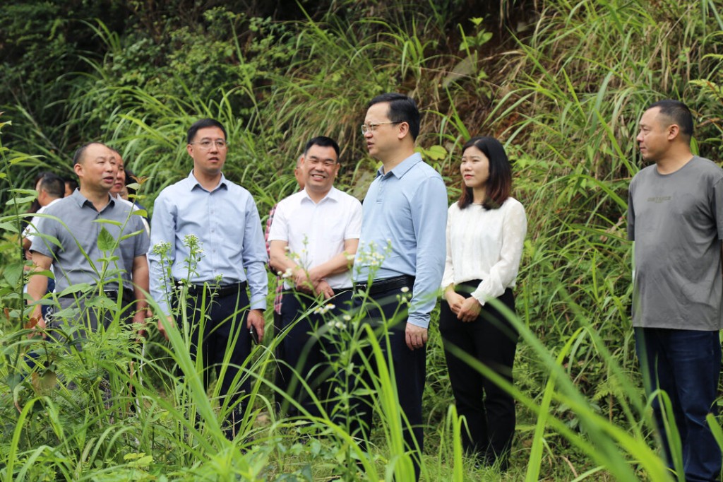 夏胜利在水口镇调研乡村振兴工作