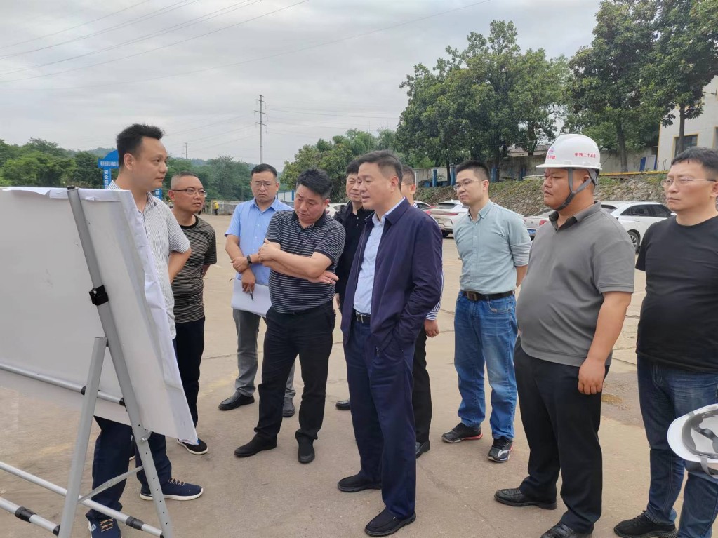 市政府副秘书长谭跃飞带队现场调研中车双碳产业基地等项目推进情况