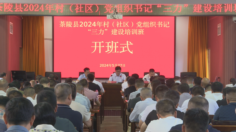 茶陵：243名村（社区）党组织书记“加油充电”