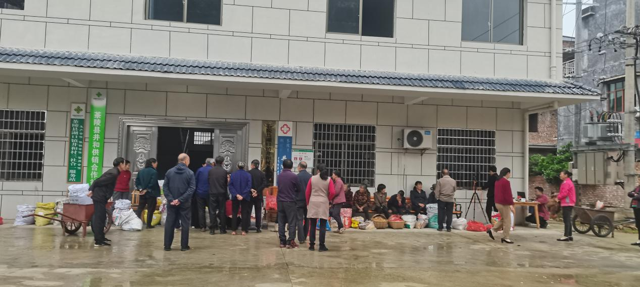 直播带货促销售，公益助农暖人心