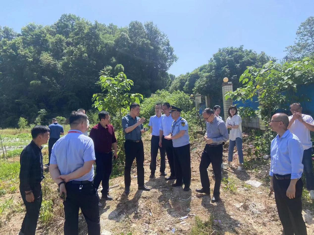 首个交办问题，株洲迅速核查