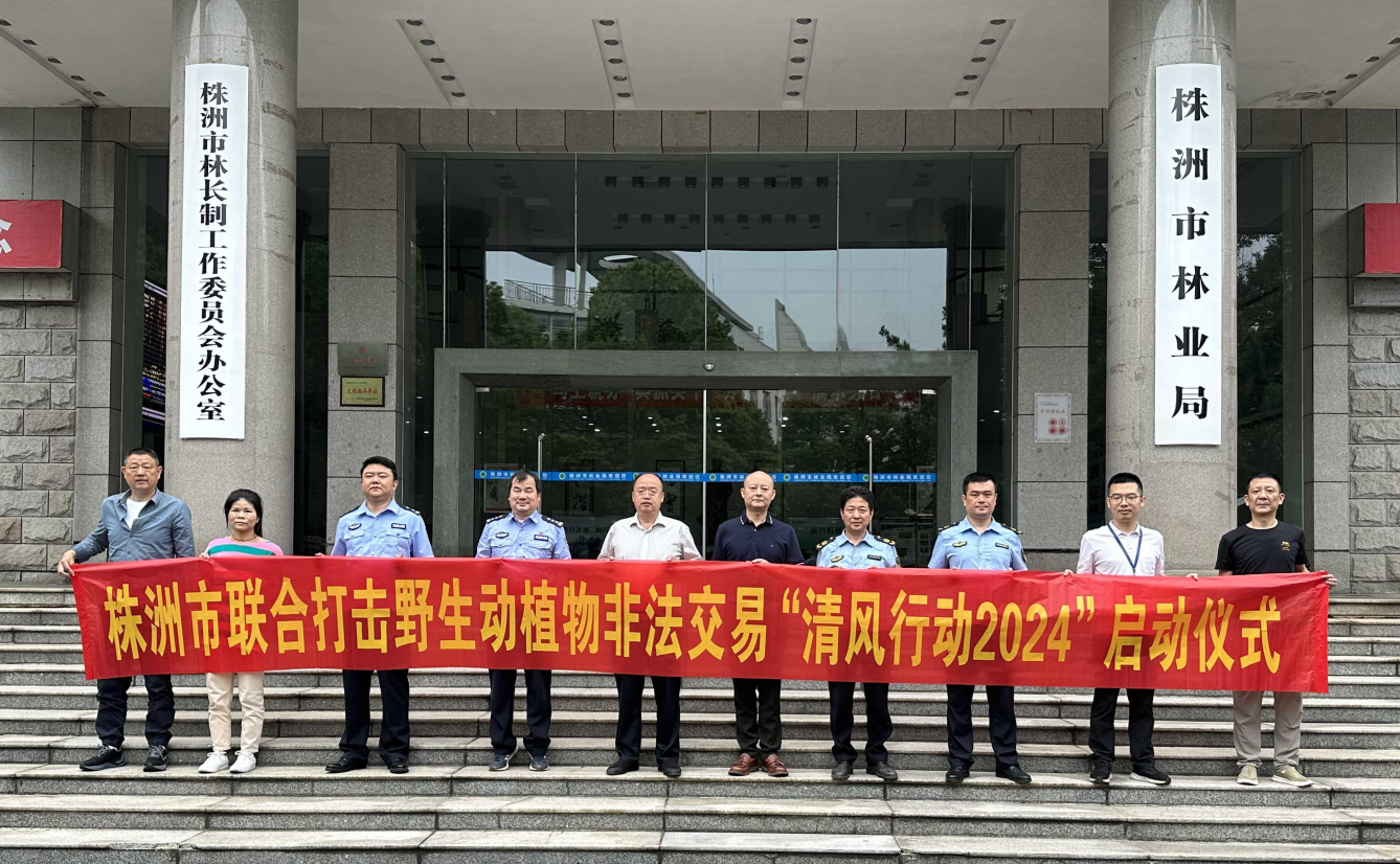 株洲市开展“清风行动2024”联合行动