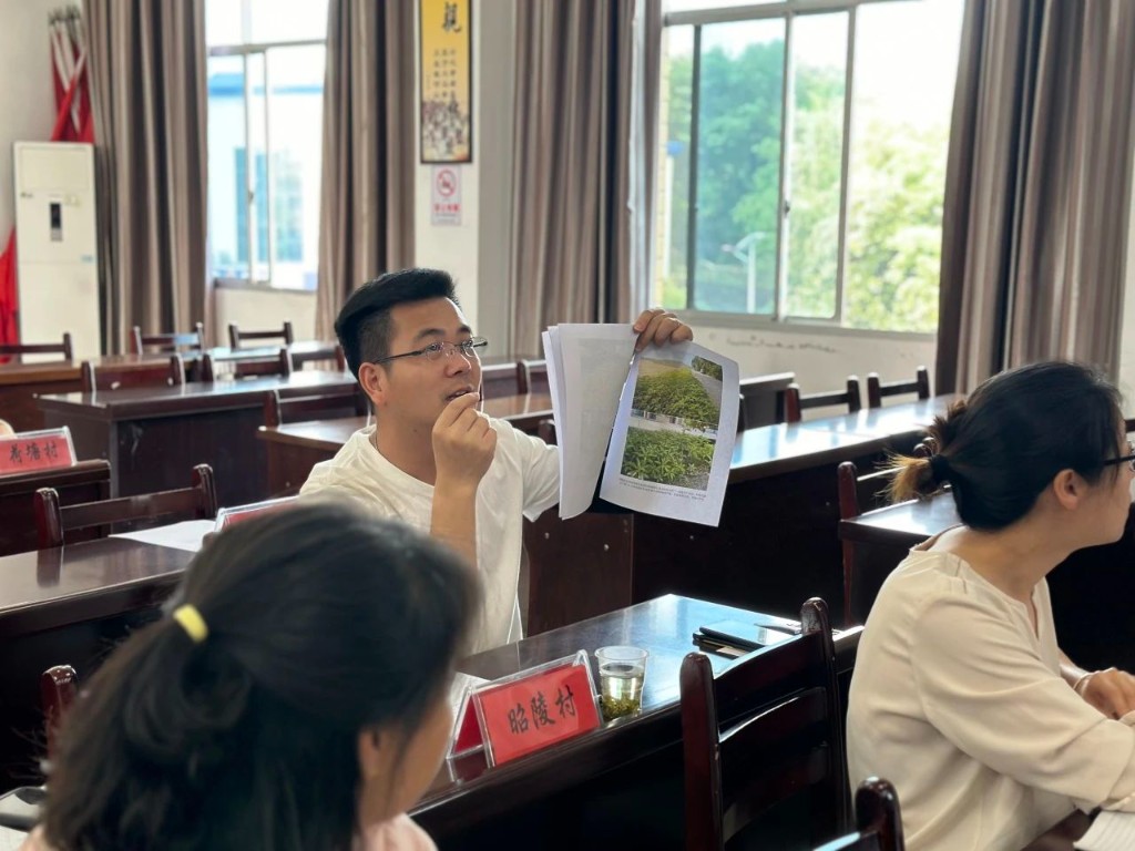 南洲镇召开宣传工作例会暨创文工作调度会