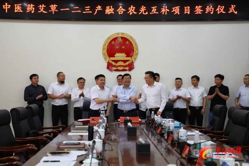 中医药艾草一二三产融合农光互补项目正式签约