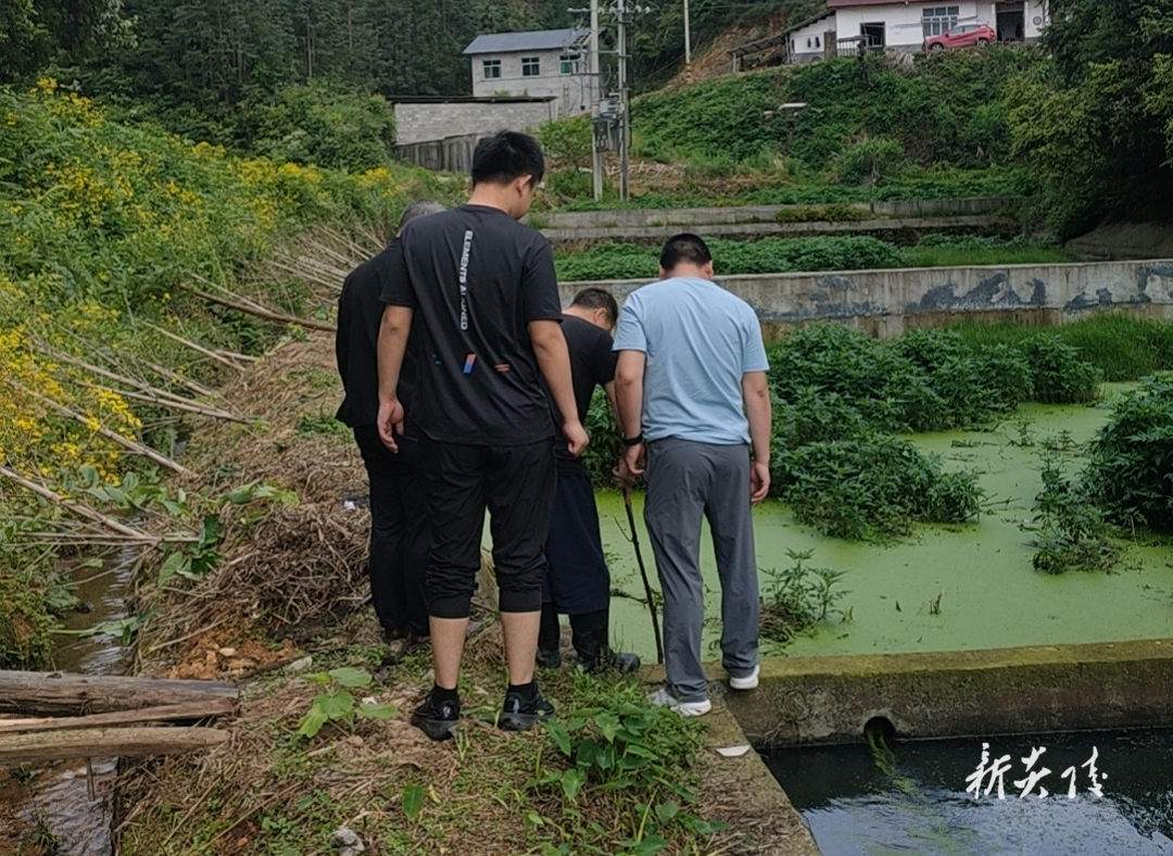 水口镇开展畜禽养殖污染治理专项行动