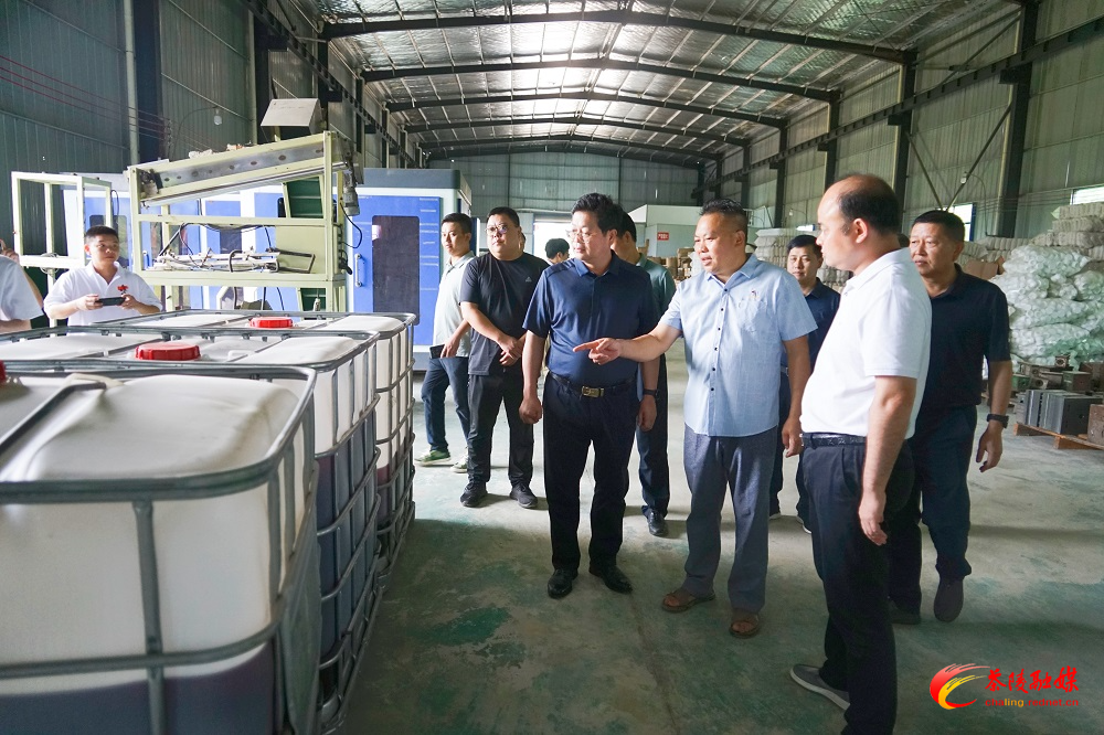 杨红兵到界首镇督导调研