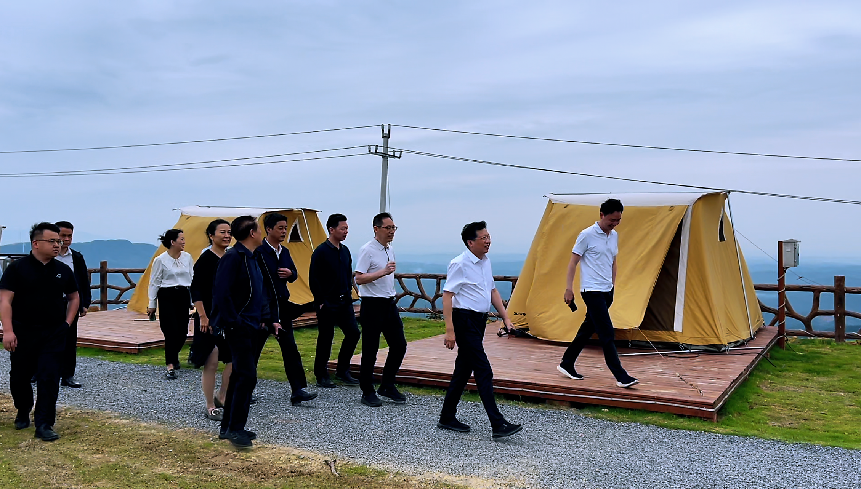 市人大常委会副主任胡波一行到龙潭村调研指导工作
