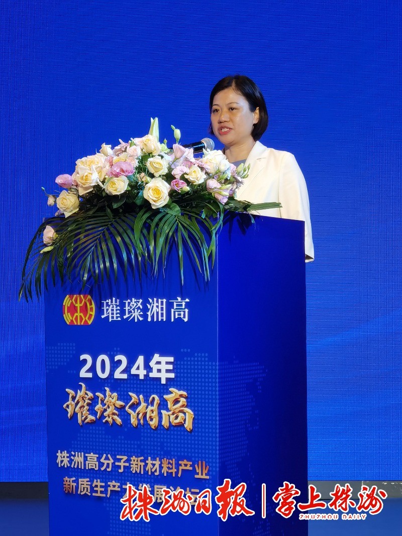 创新成果转化年丨2024“璀璨湘高”株洲高分子新材料产业新质生产力发展论坛召开