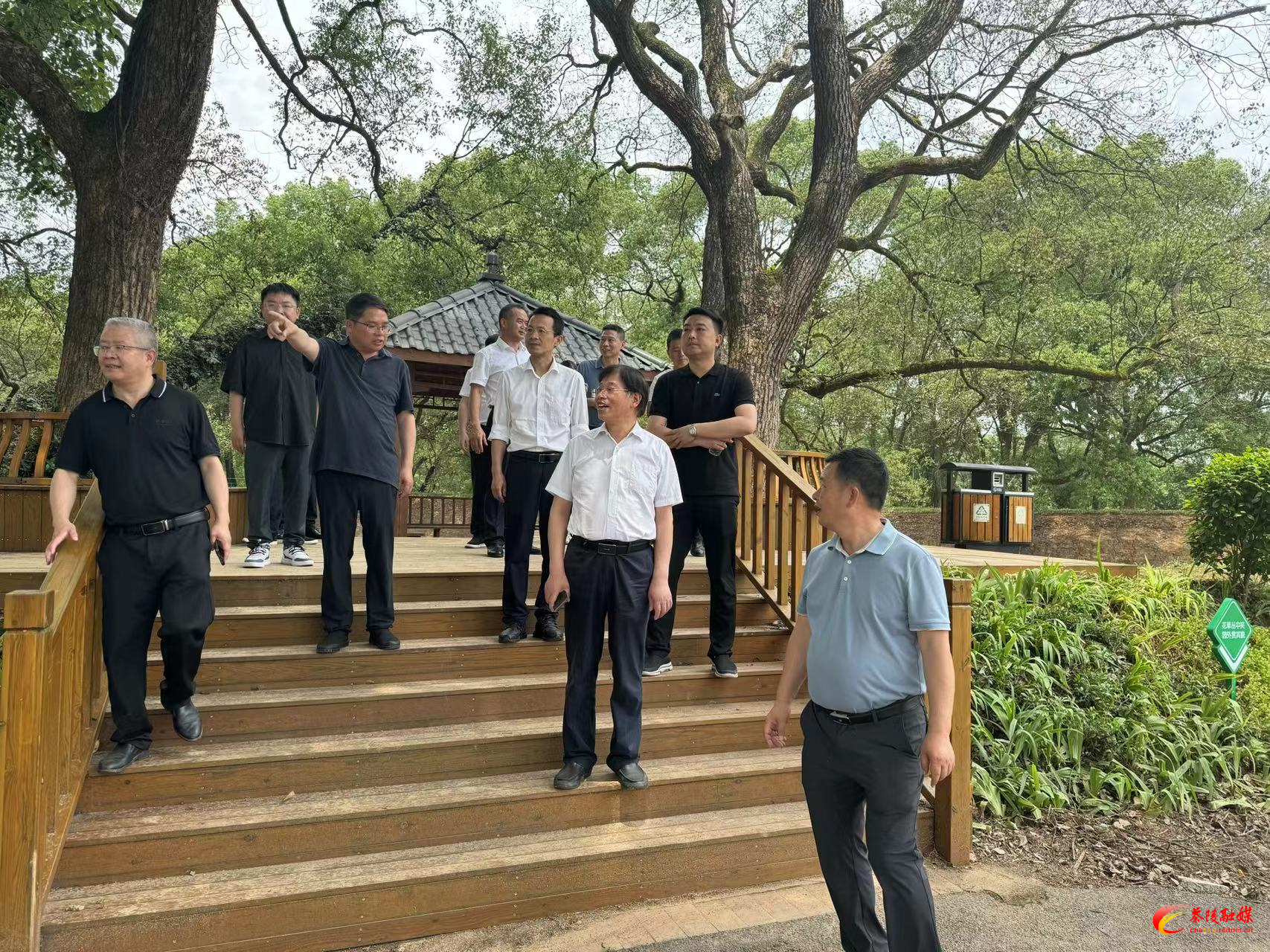 罗云寿来茶调研美丽乡村建设工作