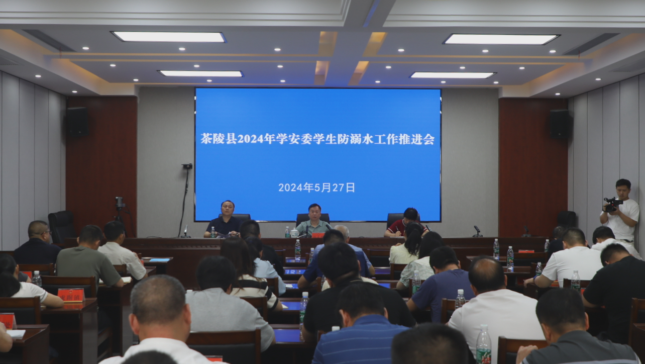 茶陵县2024年第二季度学安委联席会议召开