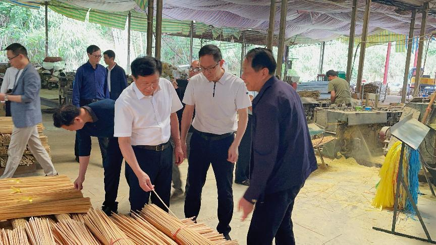 市人大常委会副主任胡波一行到龙潭村调研指导工作