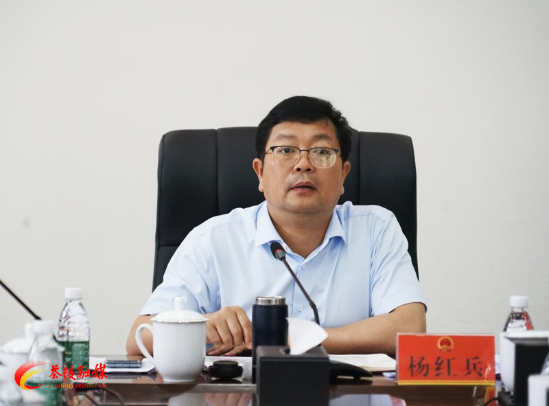 茶陵县召开第二批超长期特别国债项目储备申报调度会