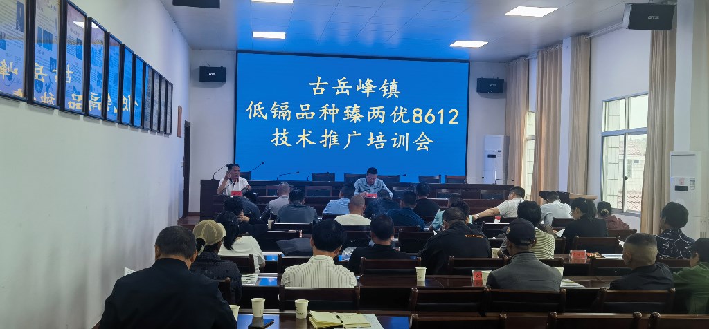 古岳峰镇召开低镉品种臻两优8612技术推广培训会