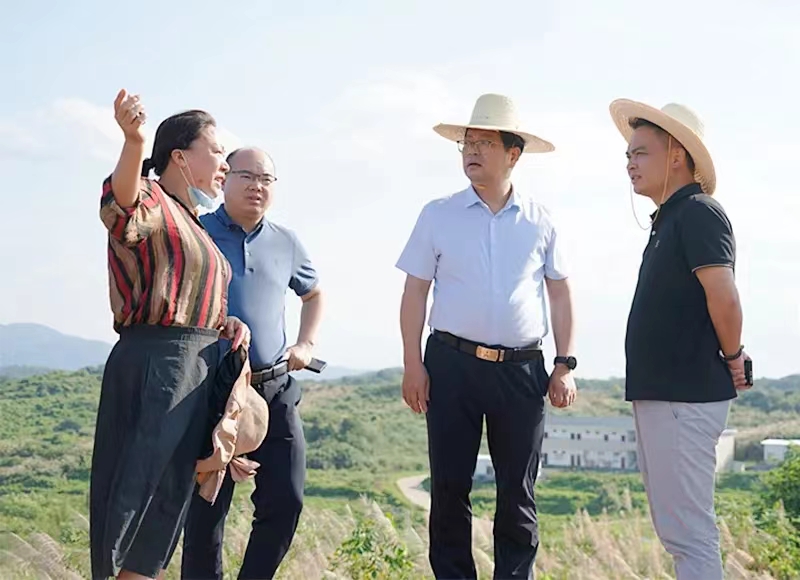 杨红兵现场督导中央环保督察交办信访问题整改工作