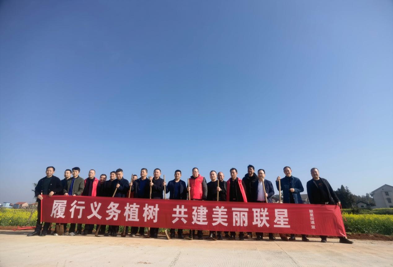 联星街道：履行义务植树 共建美丽联星