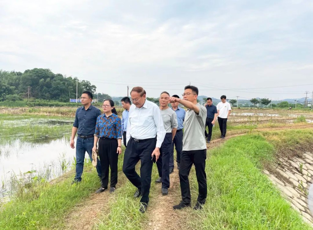 株洲将建设首个无人农场？院士大咖这样说...