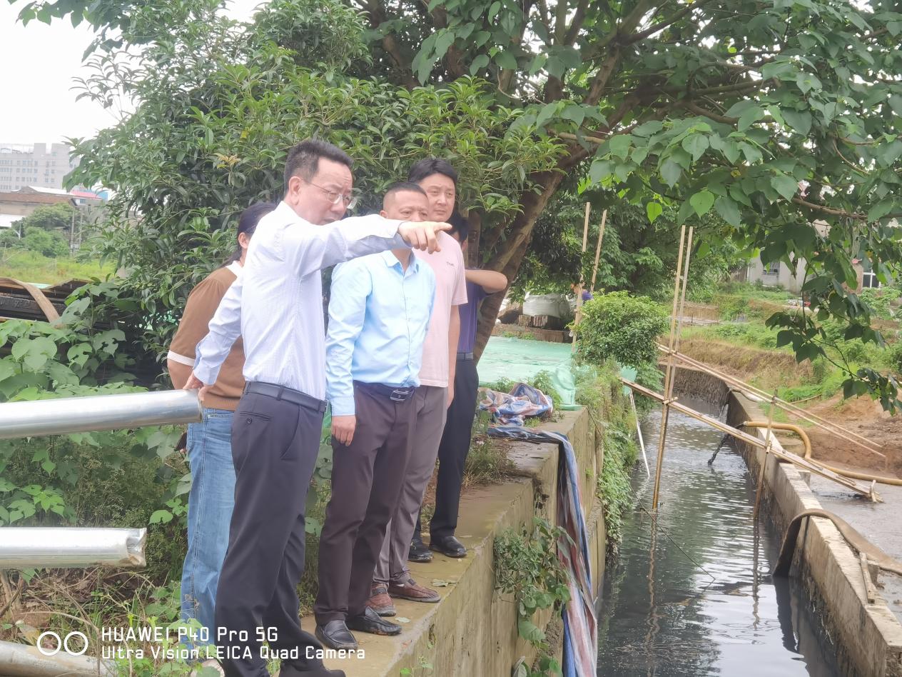 副市长易湘东调研雨污分流等工作