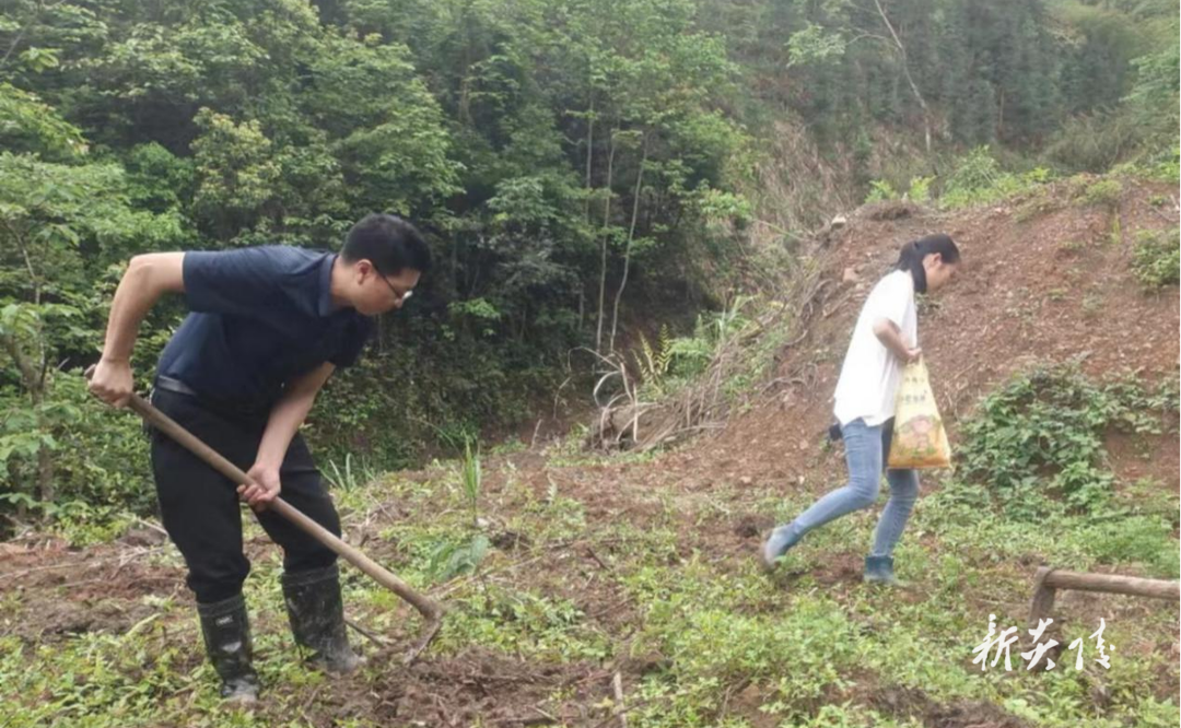 船形乡开展“春苗行动” 让新增耕地“出土长苗”