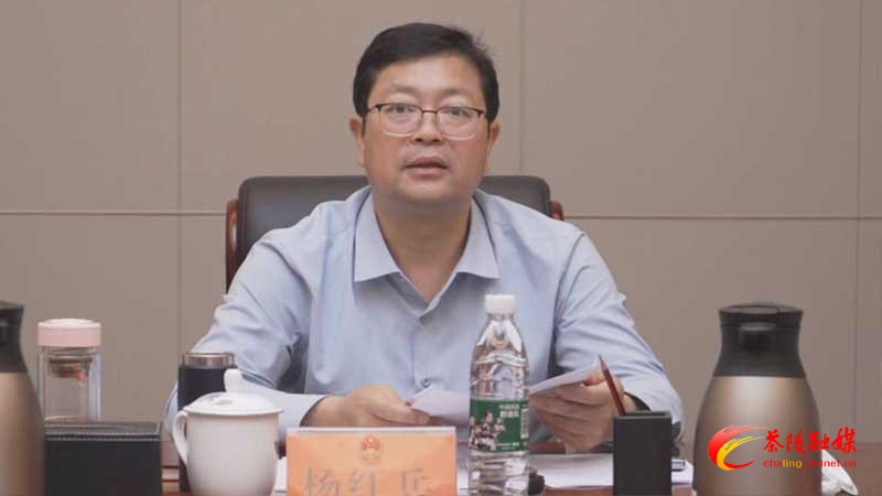 杨红兵主持召开财源建设领导小组会议