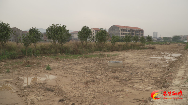 茶陵：河东新区污水管网建设项目提速推进中