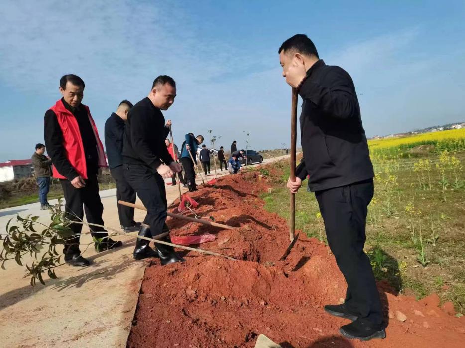 联星街道：履行义务植树 共建美丽联星