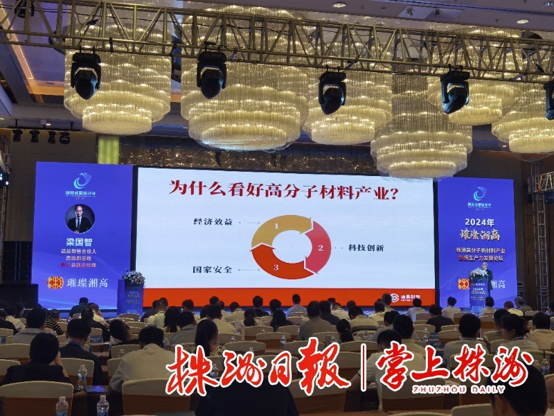 创新成果转化年丨2024“璀璨湘高”株洲高分子新材料产业新质生产力发展论坛召开