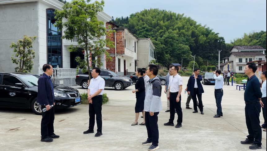 市人大常委会副主任胡波一行到龙潭村调研指导工作