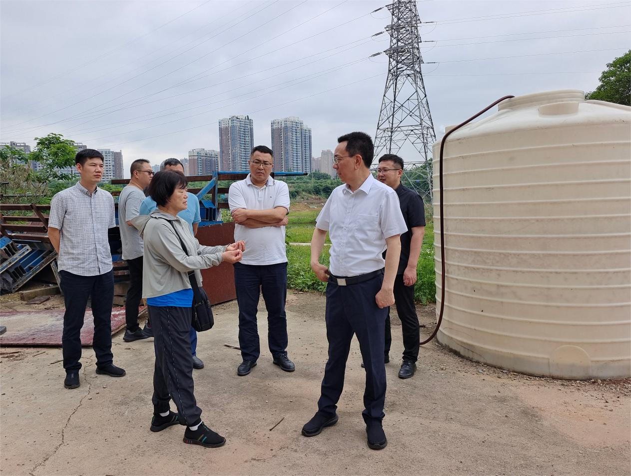 副市长易湘东督导问题整改情况