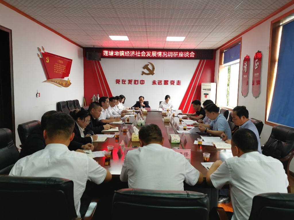 李鹏程调研莲塘坳镇经济社会发展