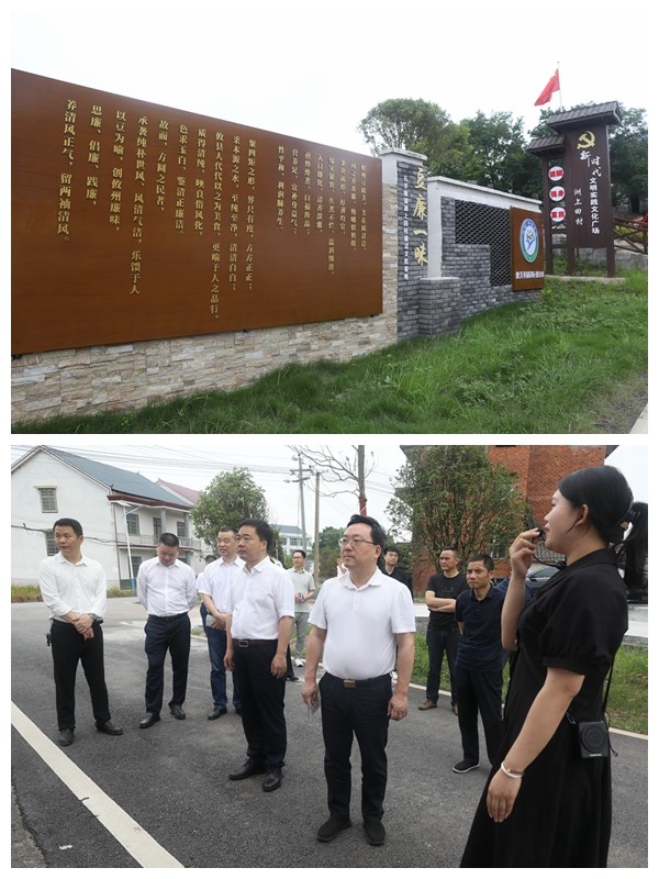 市委常委、统战部长罗绍昀来攸调研落实群众身边不正之风和腐败问题集中整治工作