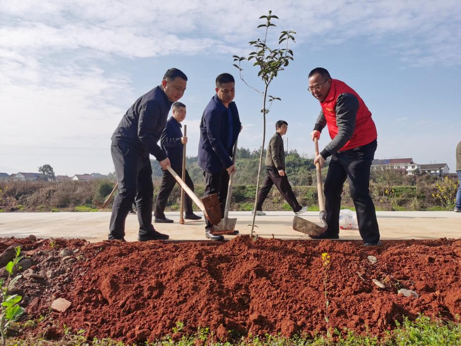 联星街道：履行义务植树 共建美丽联星